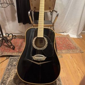 Esteban Cadillac  Black Acoustic/ Guitar with silver/Gold trim. limited addition
